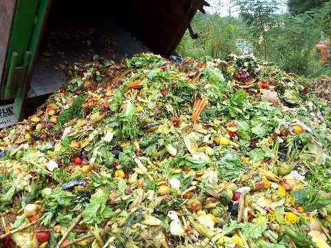 Landfill Food Waste